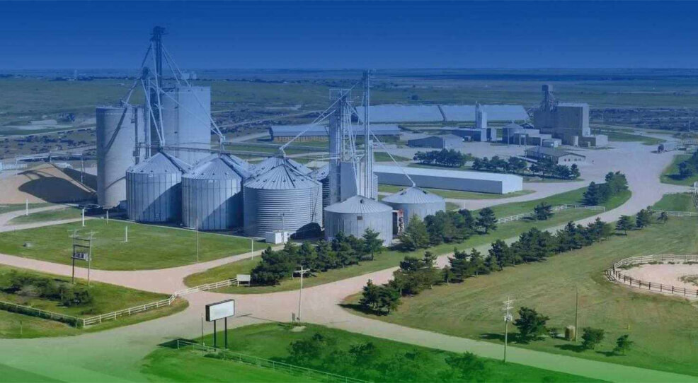 Animal feed storage silo system