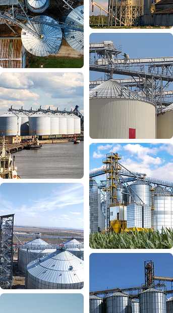 Grain storage silo project cases