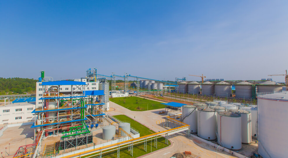 Oilseeds storage silo system