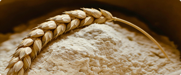 wheat flour