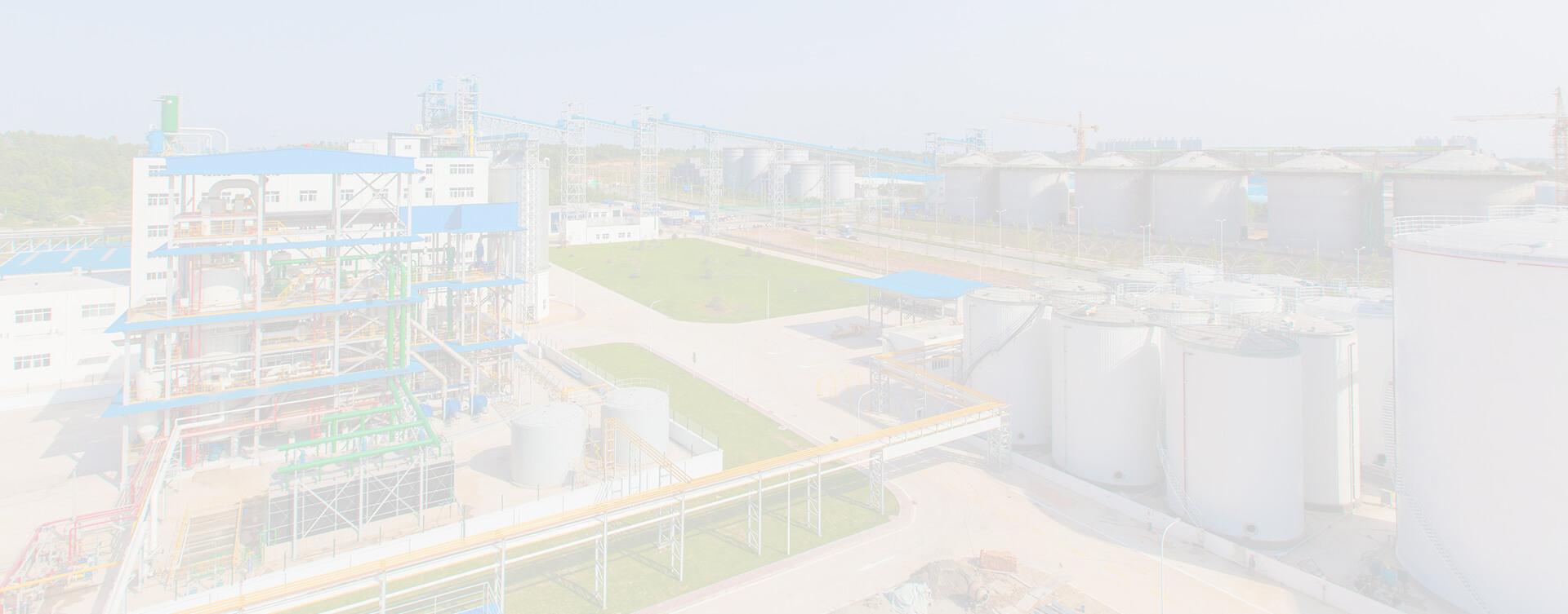 Oilseeds storage silo system