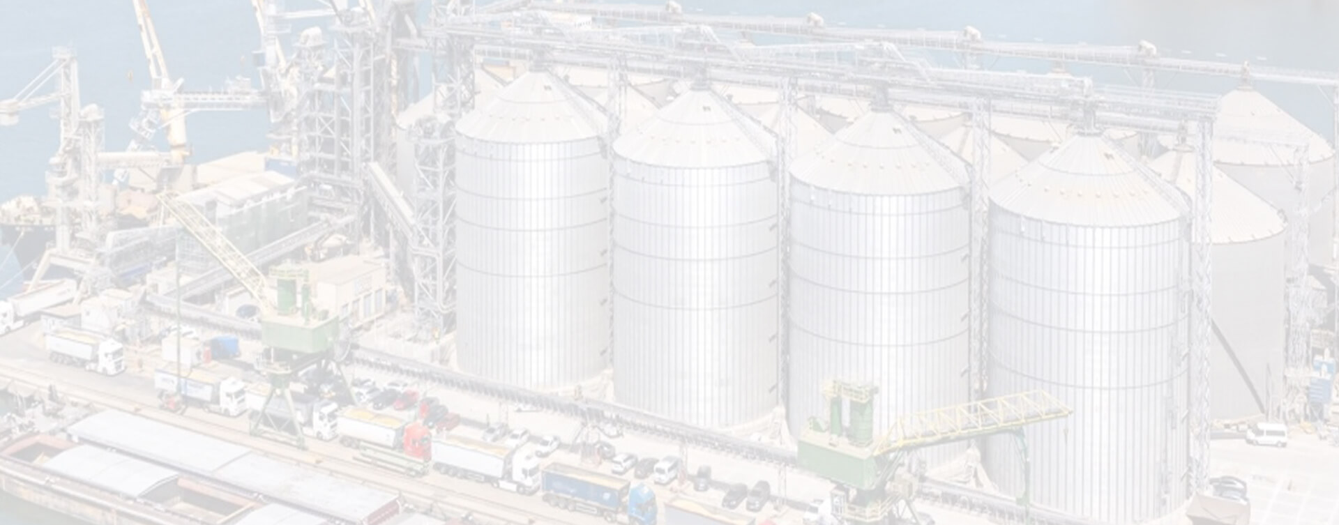 Storage silo system for port terminal