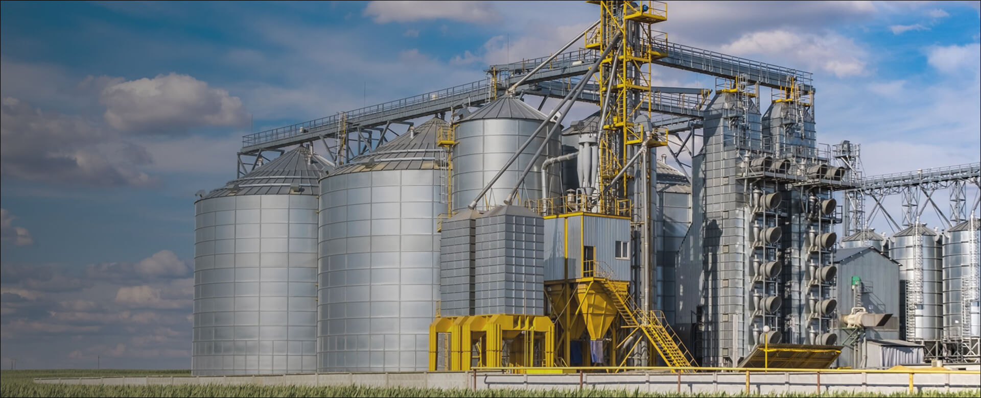 Full Sets of Grain Processing and Storage Equipment