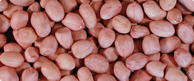 peanuts