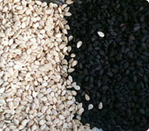 sesame