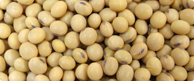 soybeans