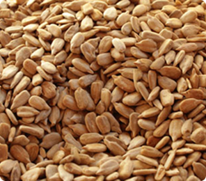 flaxseeds