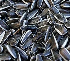 Sunflower Seeds