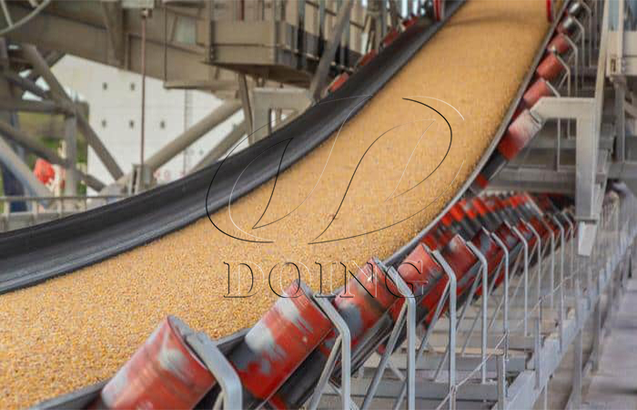 belt conveyor in grain storage solution