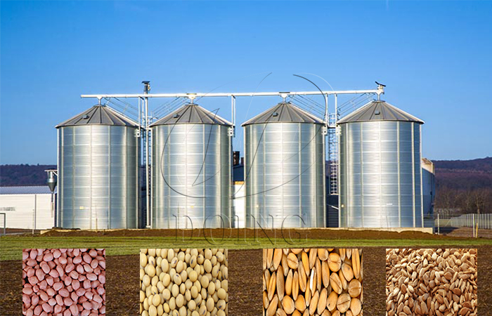 grain storage system