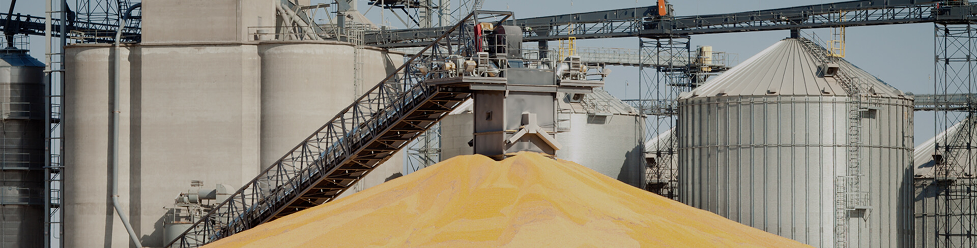 Grain silo storage solution