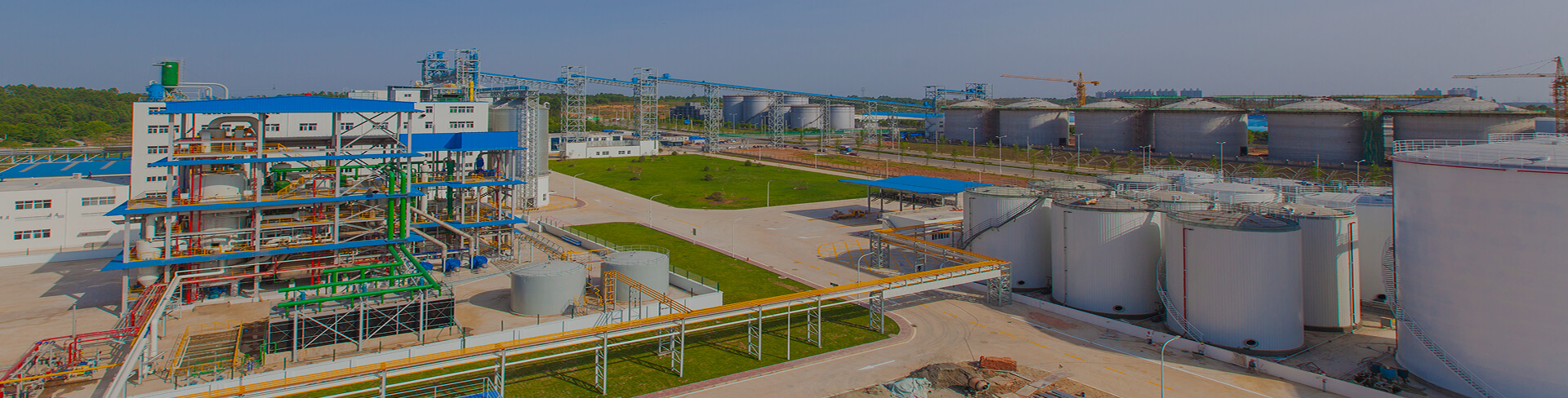 Cooking oil refining plant